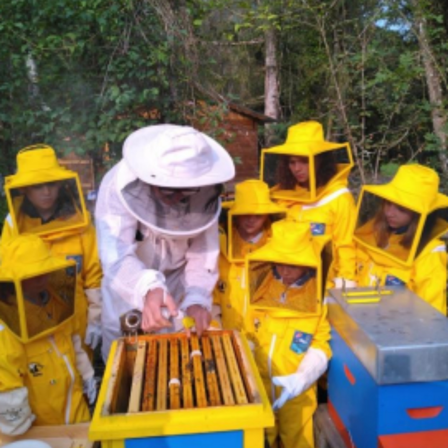 Students learn hands on at a beehive